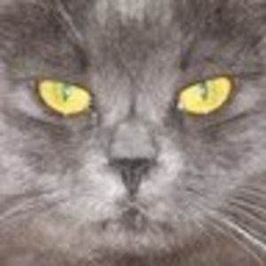 Meet your Posher, Tati